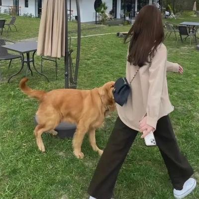 开麦拉狂想曲
